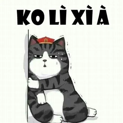 Ảnh vui đòi lì xì nhẹ nhưng đầy quyết tâm