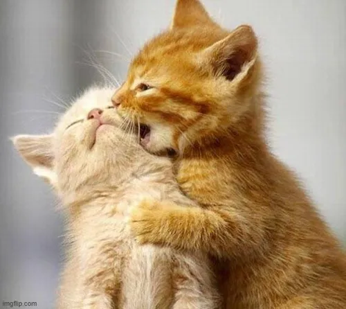 Ảnh vui hôn môi mô phỏng khoảnh khắc lãng mạn.