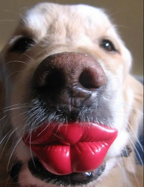 Meme hôn má thể hiện sự thân mật và đáng yêu.