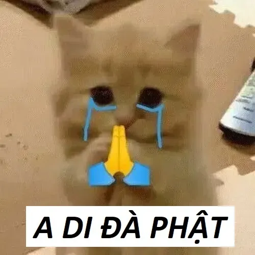 6 Meme Mô Phật: nhìn hiền mà cắt cơn nóng cực hiệu quả