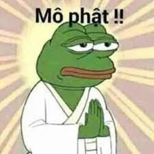 16 Meme hiền lành giúp người sân si bớt stress