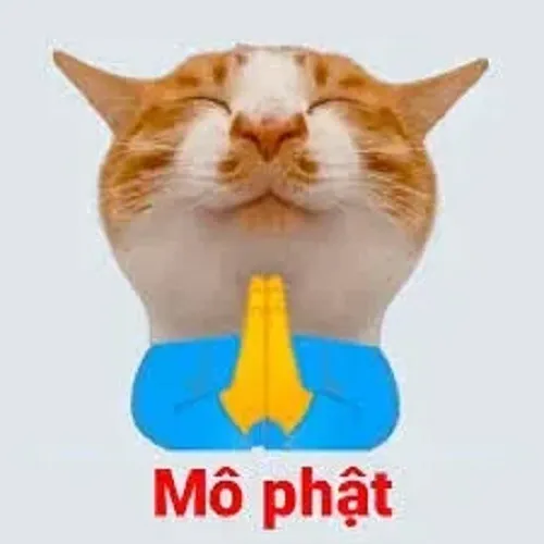 34 Ảnh troll chế nghiệp báo thành tấu hài