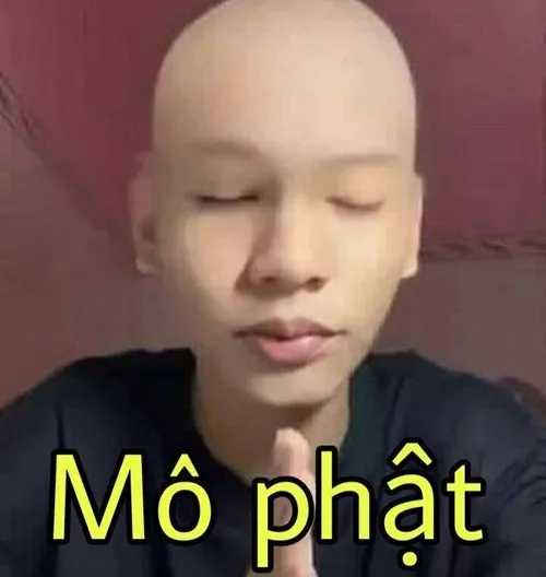 21 Meme hài phản tỉnh giữa comment đầy lửa