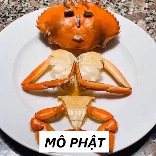 3 Meme Mô Phật và cách GenZ biến nóng thành vui