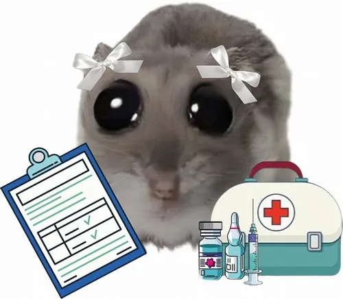 Meme bác sĩ cậu vàng, thú y mà sang chảnh lắm luôn.