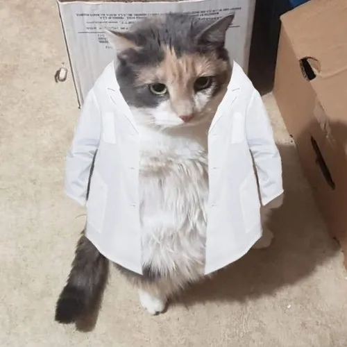 Hình chế bệnh viện meme, phòng khám nay có “tấu hài”.