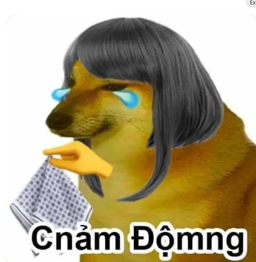 Meme xúc động có nhạc nền tạo vibe nhẹ nhàng.