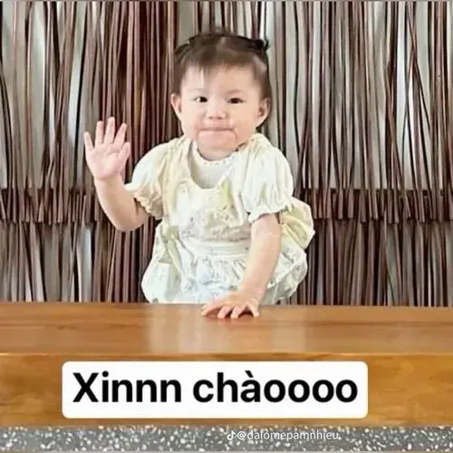 Meme xin chào gây bão TikTok, ai thấy cũng phải cười