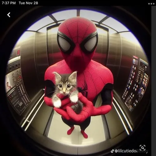 39 Meme Spiderman nhìn Tom Holland ngoài hậu trường