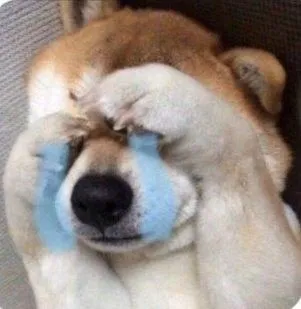 Chó buồn trĩu nặng, đôi mắt long lanh.