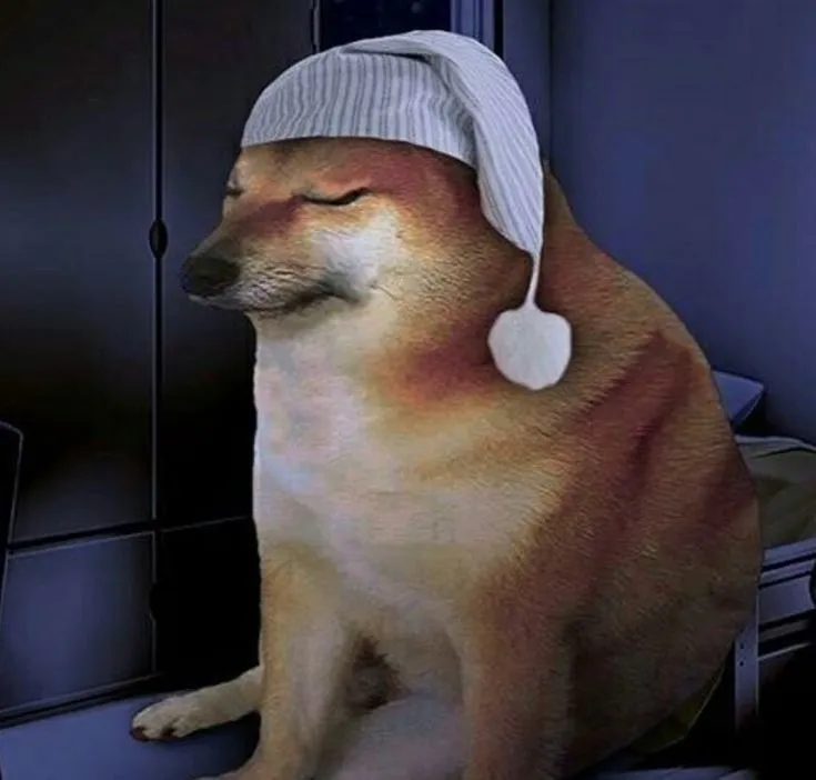 Chú chó Shiba buồn bã, ngồi ôm bóng tối.