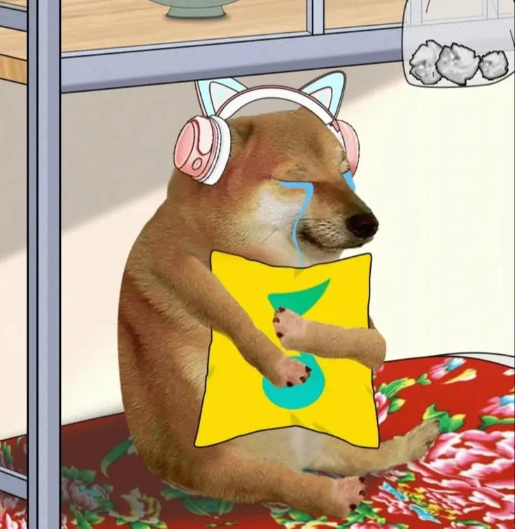 Shiba buồn rầu ngồi ôm gối một mình