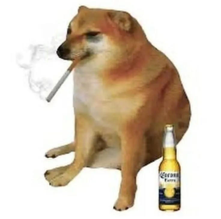 Meme chó tủi thân, ánh nhìn lạc lõng.