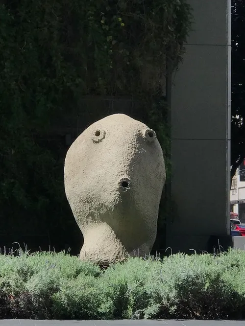 Hình troll chu mỏ đáng yêu muốn tan chảy