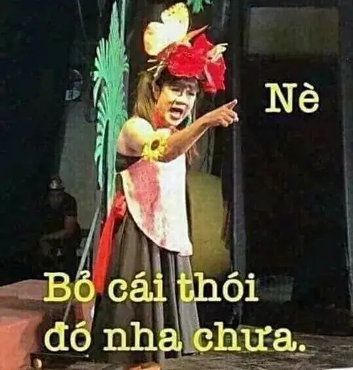 Từ mèo cáu tới idol troll – thế giới meme chửi siêu mặn
