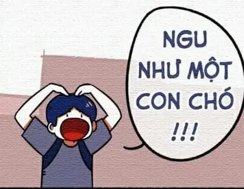 Ảnh vui chửi tục kiểu dân TikTok bắt trend nhanh