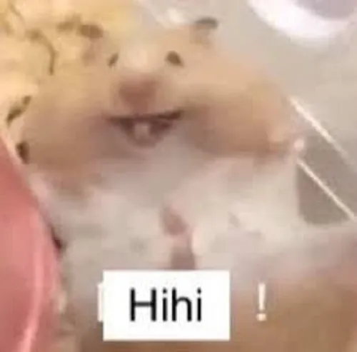 Giải mã sức hút meme “hi hi”: vì sao ai cũng mê?