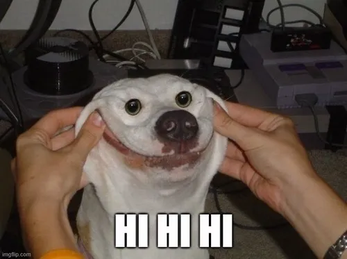 Hình troll hí hí mang phong cách Gen Z.