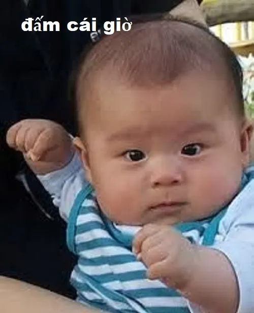 Ảnh chế đấm nhau thể hiện cú đấm cực gắt mà vẫn vui