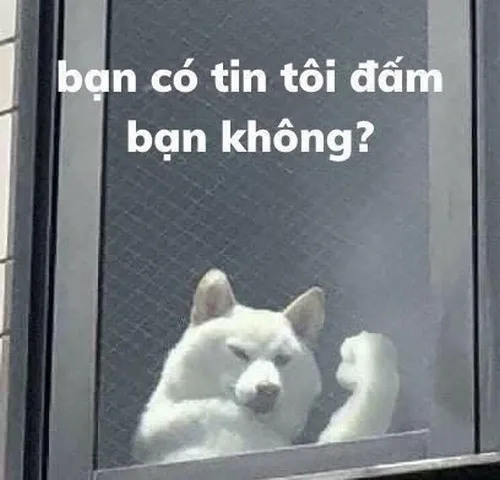 Hình chế đấm vô mặt nhìn là biết sắp có chuyện liền