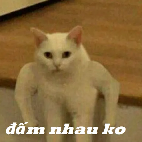 Meme đấm loopy dễ thương mà vẫn thể hiện rõ cơn bực