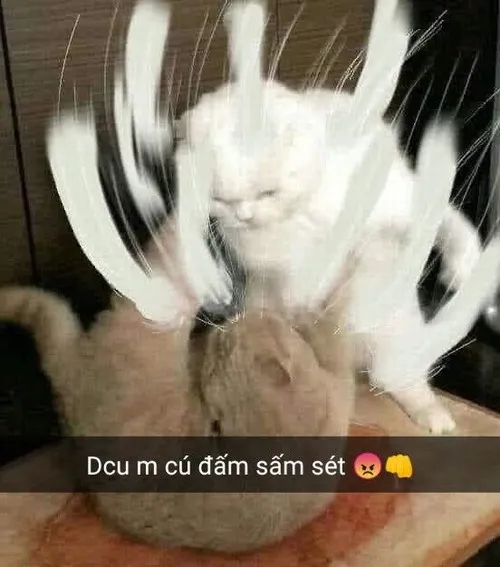 Khi meme đấm nói thay cho cảm xúc “tôi sắp không chịu nổi rồi”