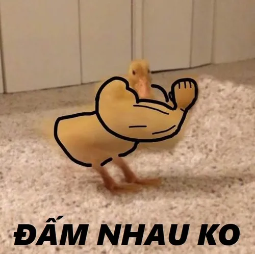 Meme đấm gương mặt nghiêm túc mà nhìn buồn cười ghê