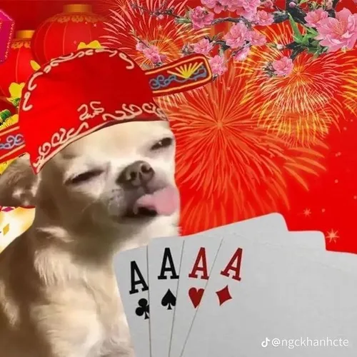 26 Ảnh vui chơi bài “về bờ chưa” lan truyền nhanh