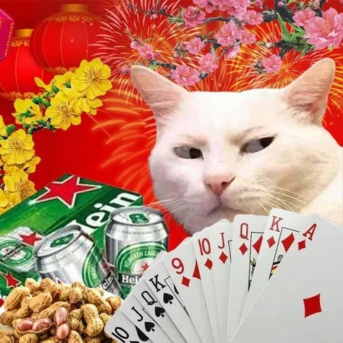 17 Ảnh troll chơi bài cười khổ nhưng hợp tâm trạng