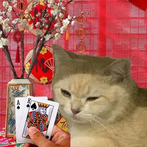 18 Meme đánh bài biểu cảm cay cú mà dễ thương