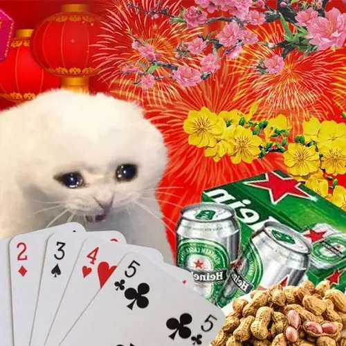 14 Ảnh vui chơi bài cười như được mùa giữa sòng