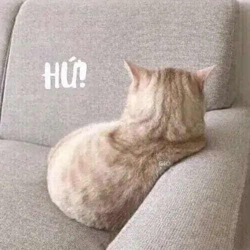 Meme dỗi dỗi liên hoàn, đúng kiểu giận mà vẫn thương