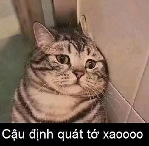 Meme hài dỗi nhẹ khiến ai xem cũng phải bật cười