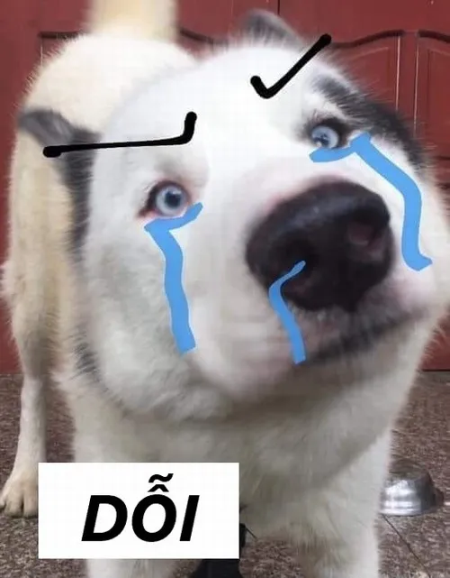 Meme dỗi khoanh tay quay đi, đúng điệu giận yêu