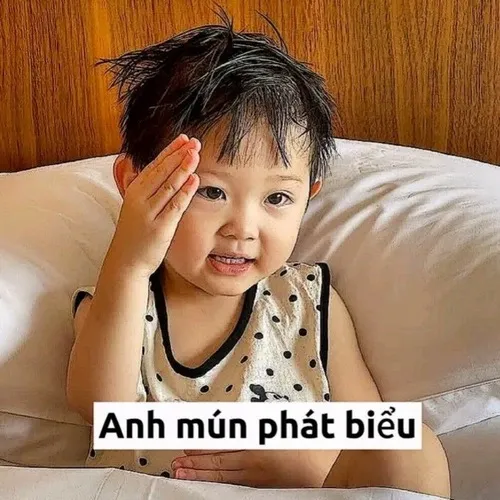 Meme học đường hóa biểu tượng bình luận dạo