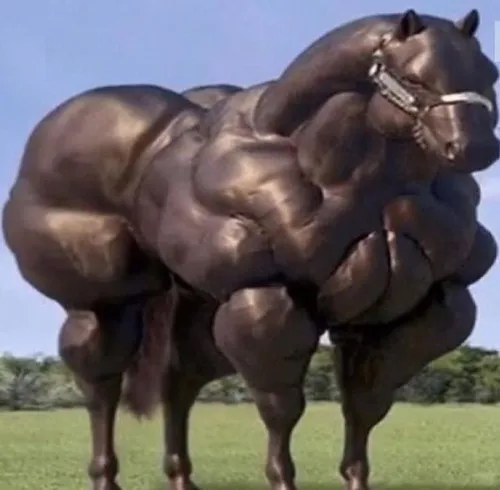 Meme cá mập nhăn mặt vì hết pin