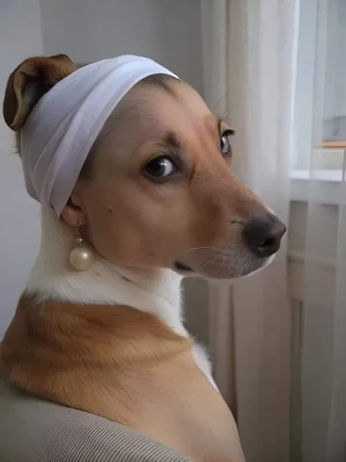 Meme gấu trúc đang giận vì bị cướp tre