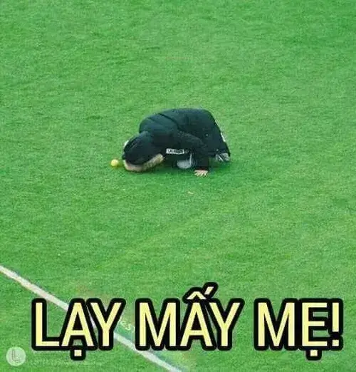 Hình chế vui thể hiện phản ứng cực “nhây” trước chuyện oái oăm.