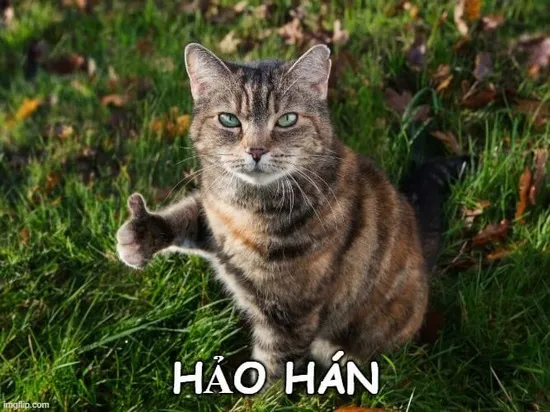 Meme hảo hán vừa căng vừa buồn cười
