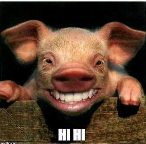 Meme chế tiếng cười chú heo nhẹ hihi