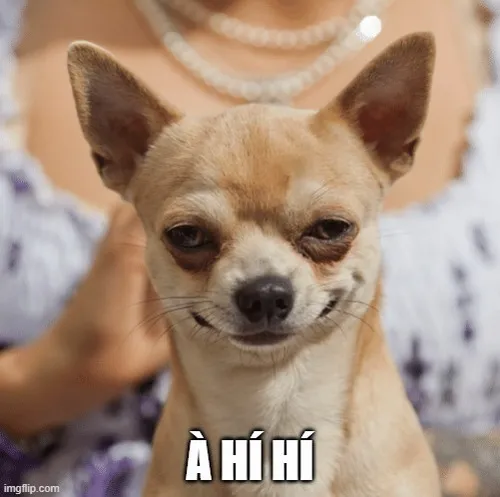 Hình chế hí hí thể hiện phản ứng đáng yêu.