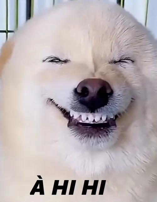 Hình chế nụ cười nhỏ khiến cuộc trò chuyện mềm mại.