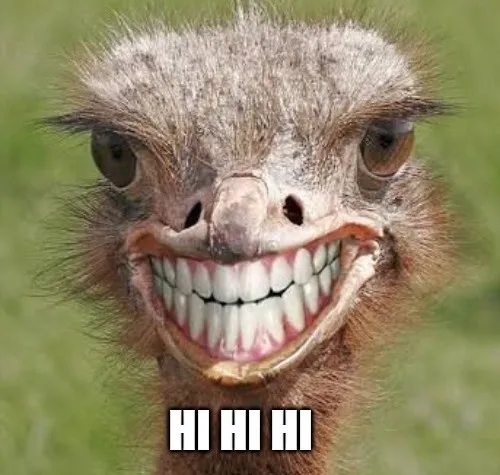 Từ tiếng cười hí hí đến biểu cảm triệu view của Gen Z