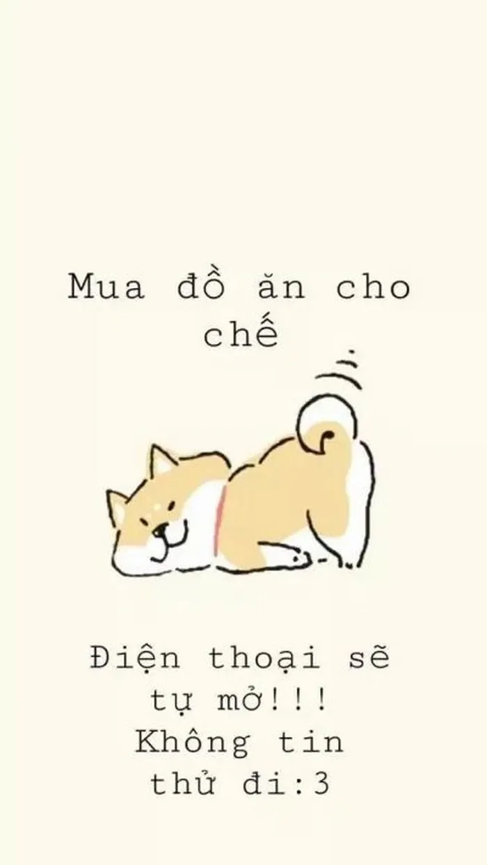 Hình nền meme chó Shiba vui nhộn cho người thích khác biệt