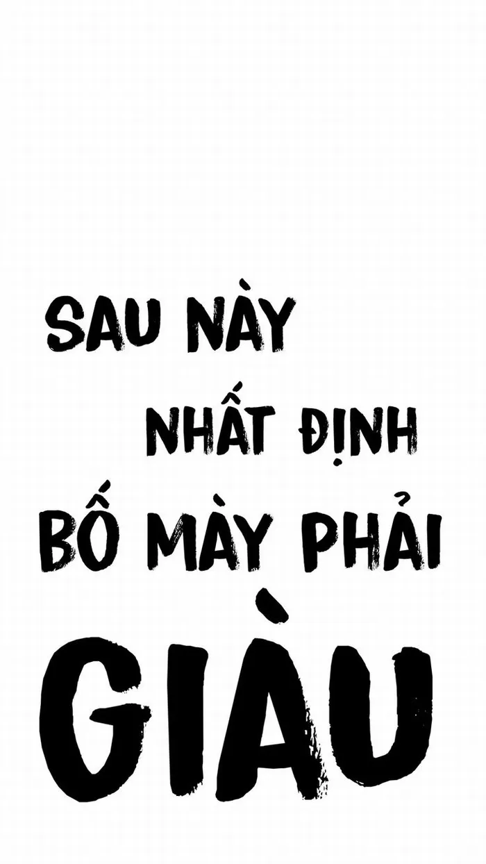 Hình nền mèo ngáo, biểu cảm troll nhìn hoài không chán.