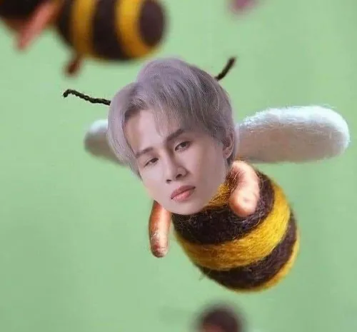 Meme hài Jack mặt ngu ngơ khó đỡ