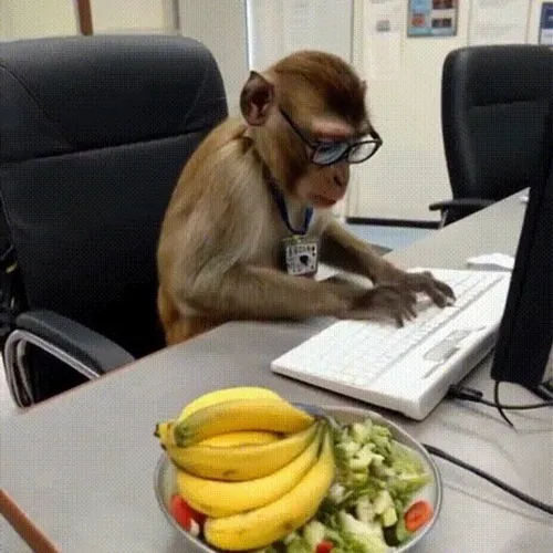 Meme khỉ hỏi, caption “ủa là sao zị?”