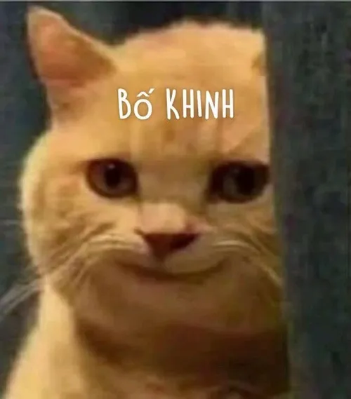 Hình chế phong thái xem thường người khác