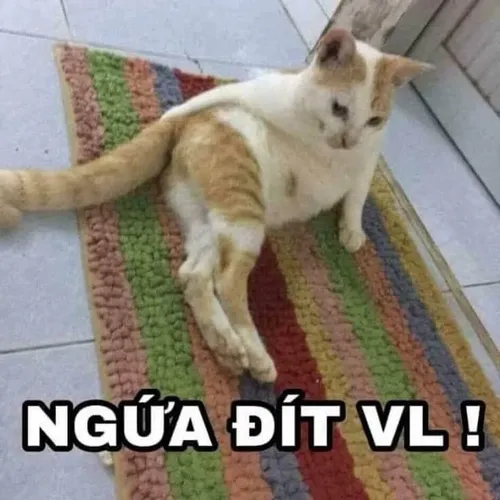 Ảnh hài gương mặt ngạo mạn bá đạo