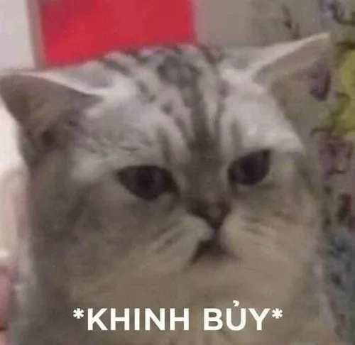 Meme ánh mắt khinh thường vô hồn